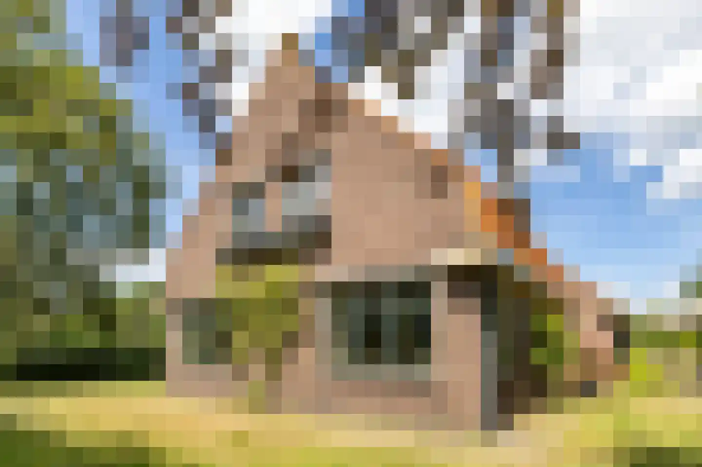 Bergveenweg 1 Veenhuizen thumbnail 11