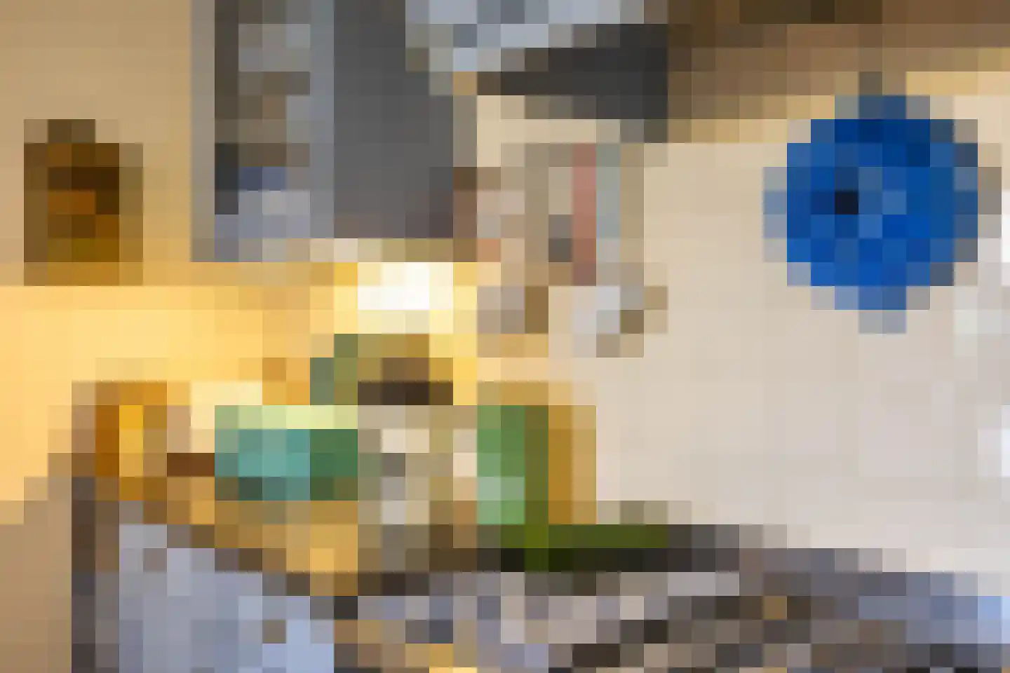 Bergveenweg 1 Veenhuizen thumbnail 27