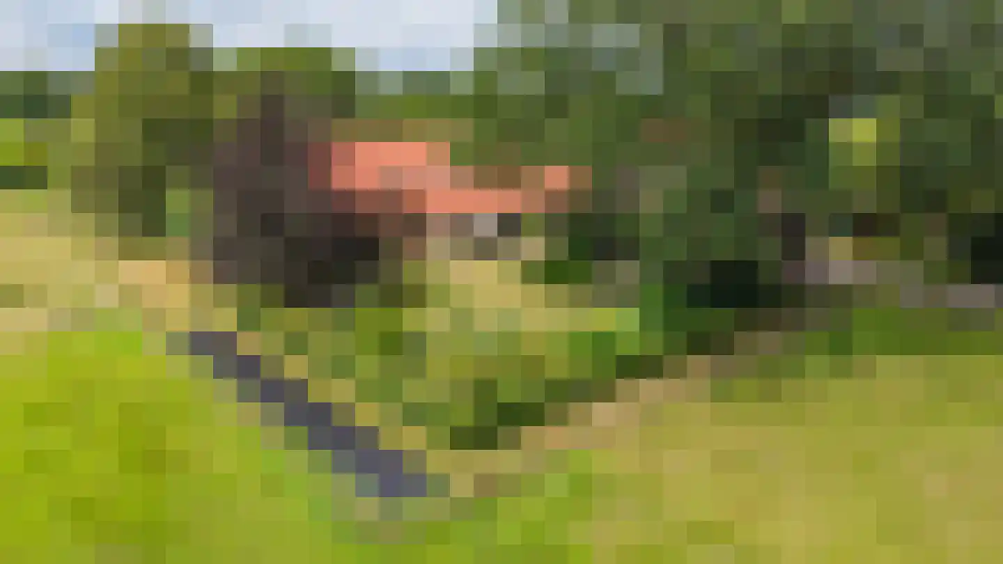 Bergveenweg 1 Veenhuizen thumbnail 4