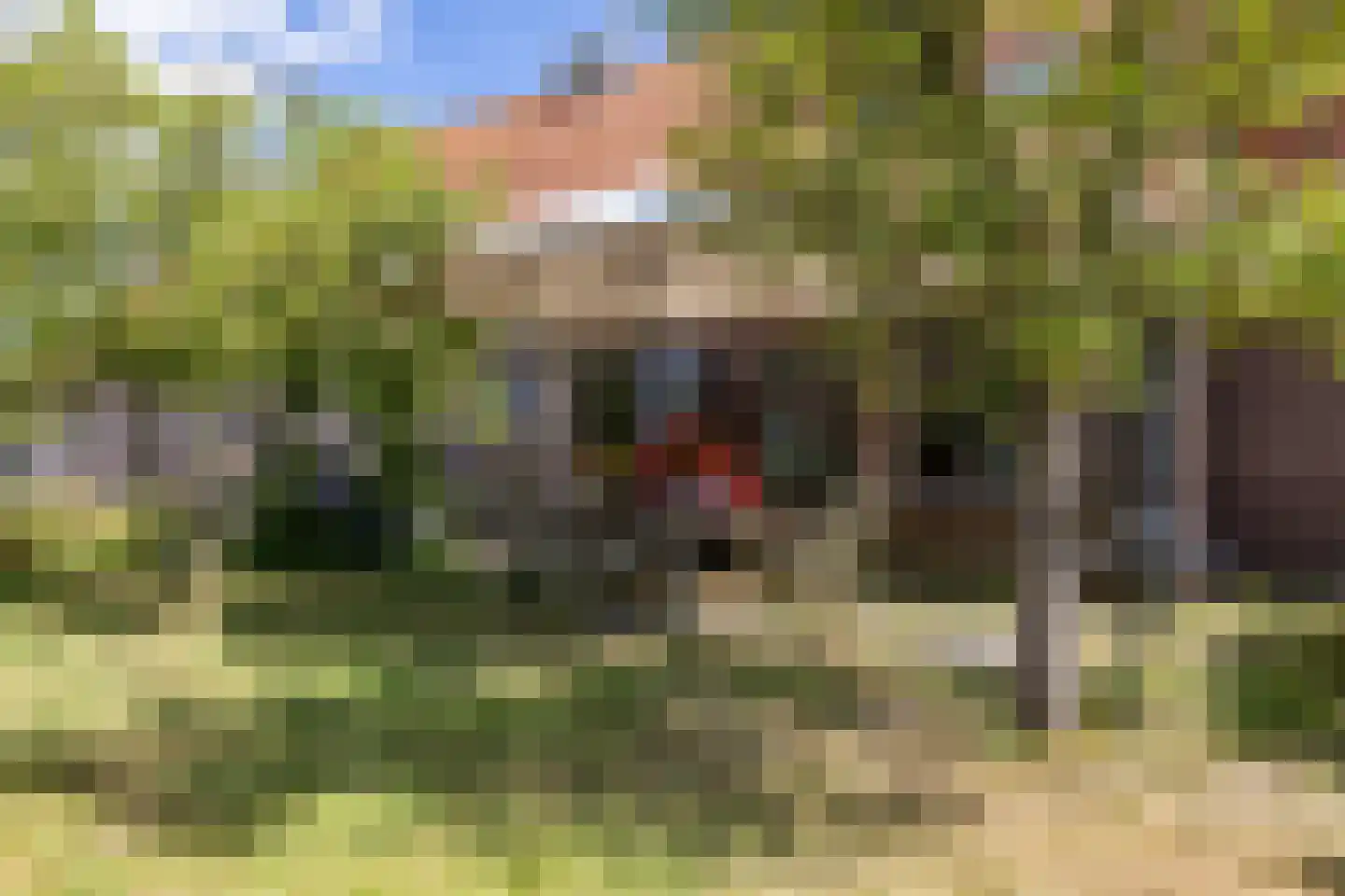 Bergveenweg 1 Veenhuizen thumbnail 49