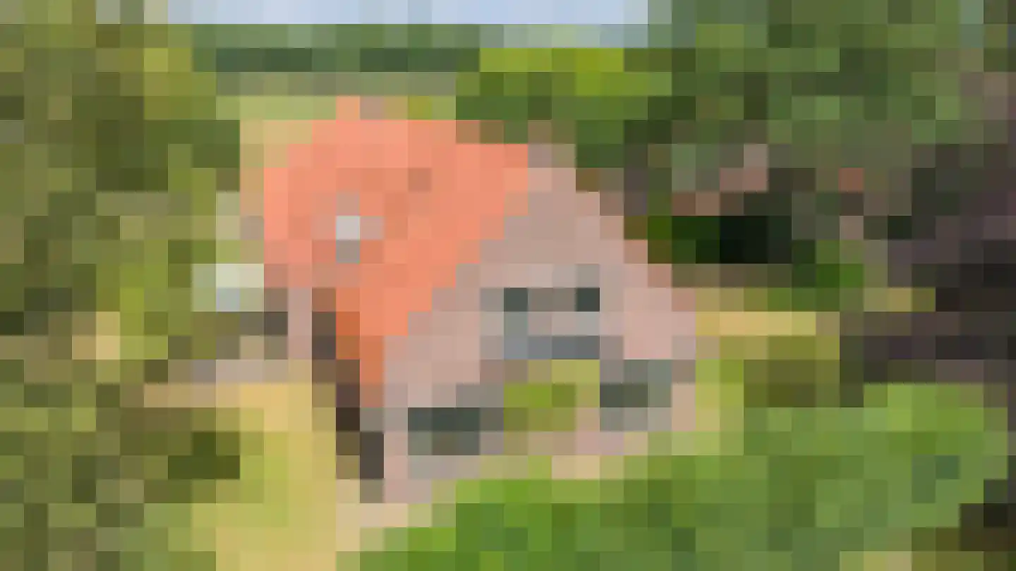 Bergveenweg 1 Veenhuizen thumbnail 5