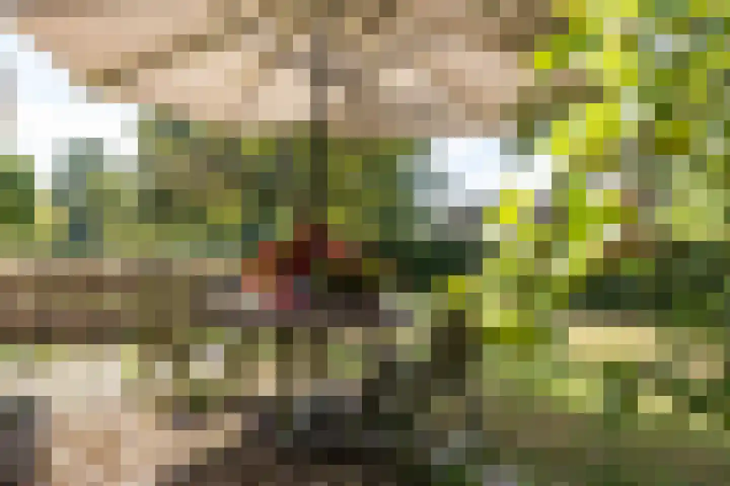 Bergveenweg 1 Veenhuizen thumbnail 51