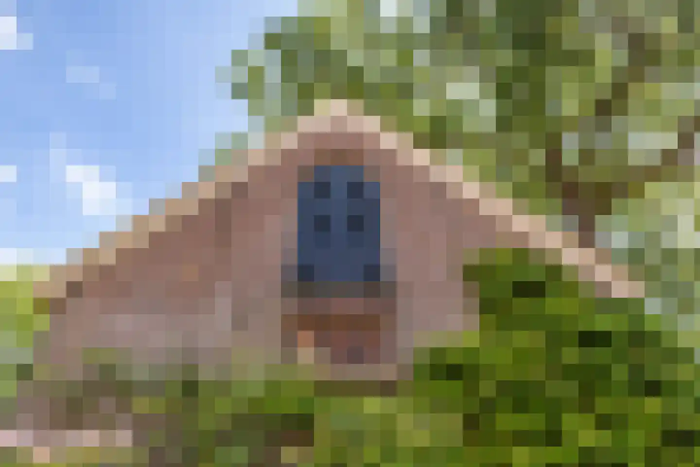 Bergveenweg 1 Veenhuizen thumbnail 55