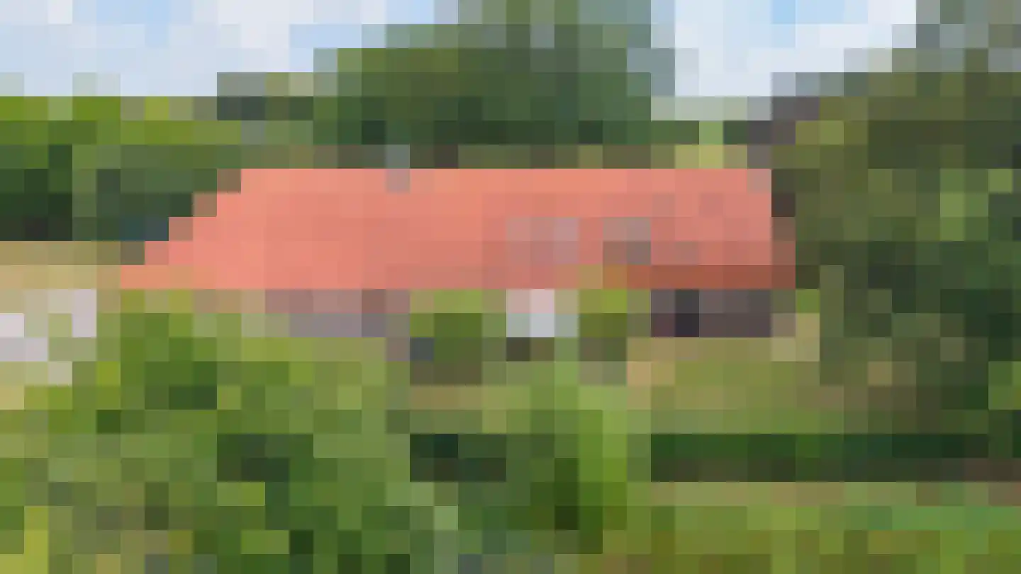 Bergveenweg 1 Veenhuizen thumbnail 6