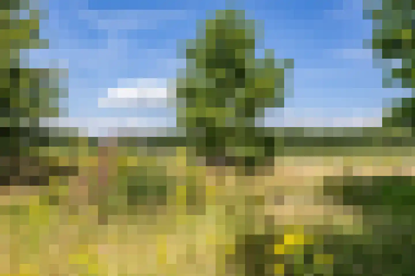 Bergveenweg 1 Veenhuizen thumbnail 60