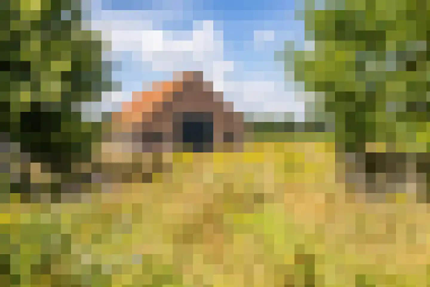 Bergveenweg 1 Veenhuizen thumbnail 61
