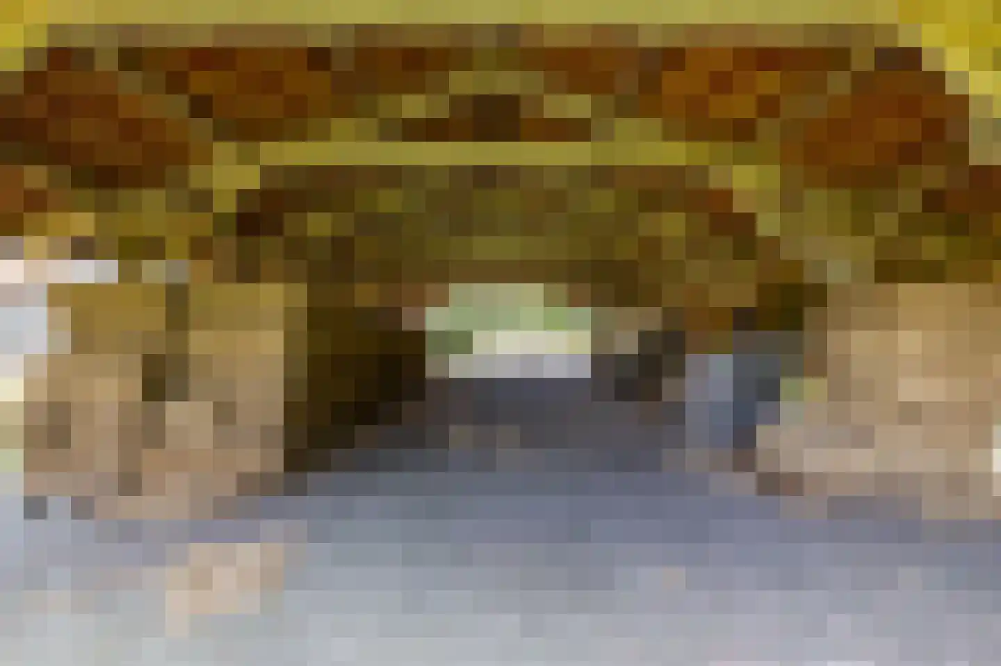 Bergveenweg 1 Veenhuizen thumbnail 67