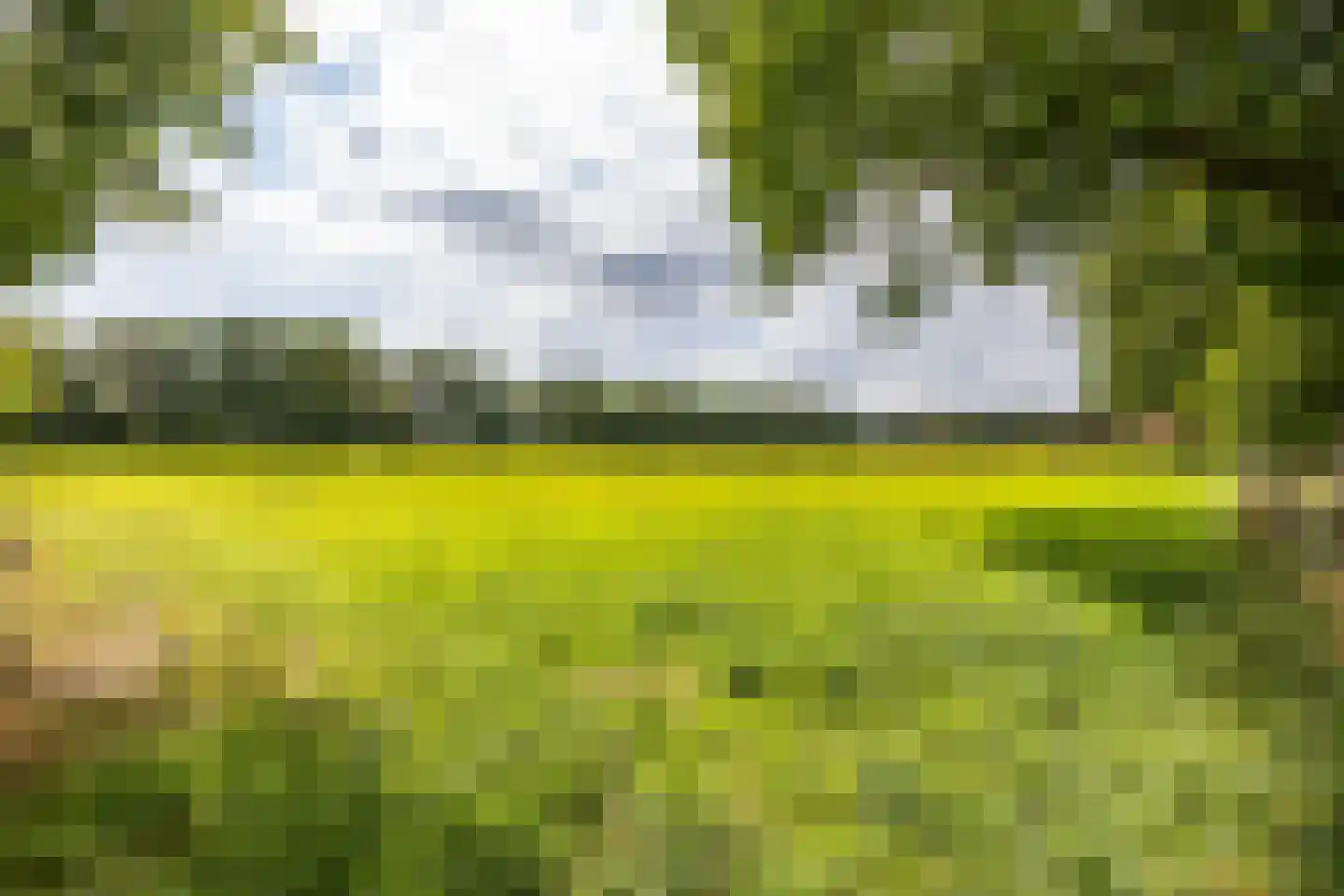 Bergveenweg 1 Veenhuizen thumbnail 69