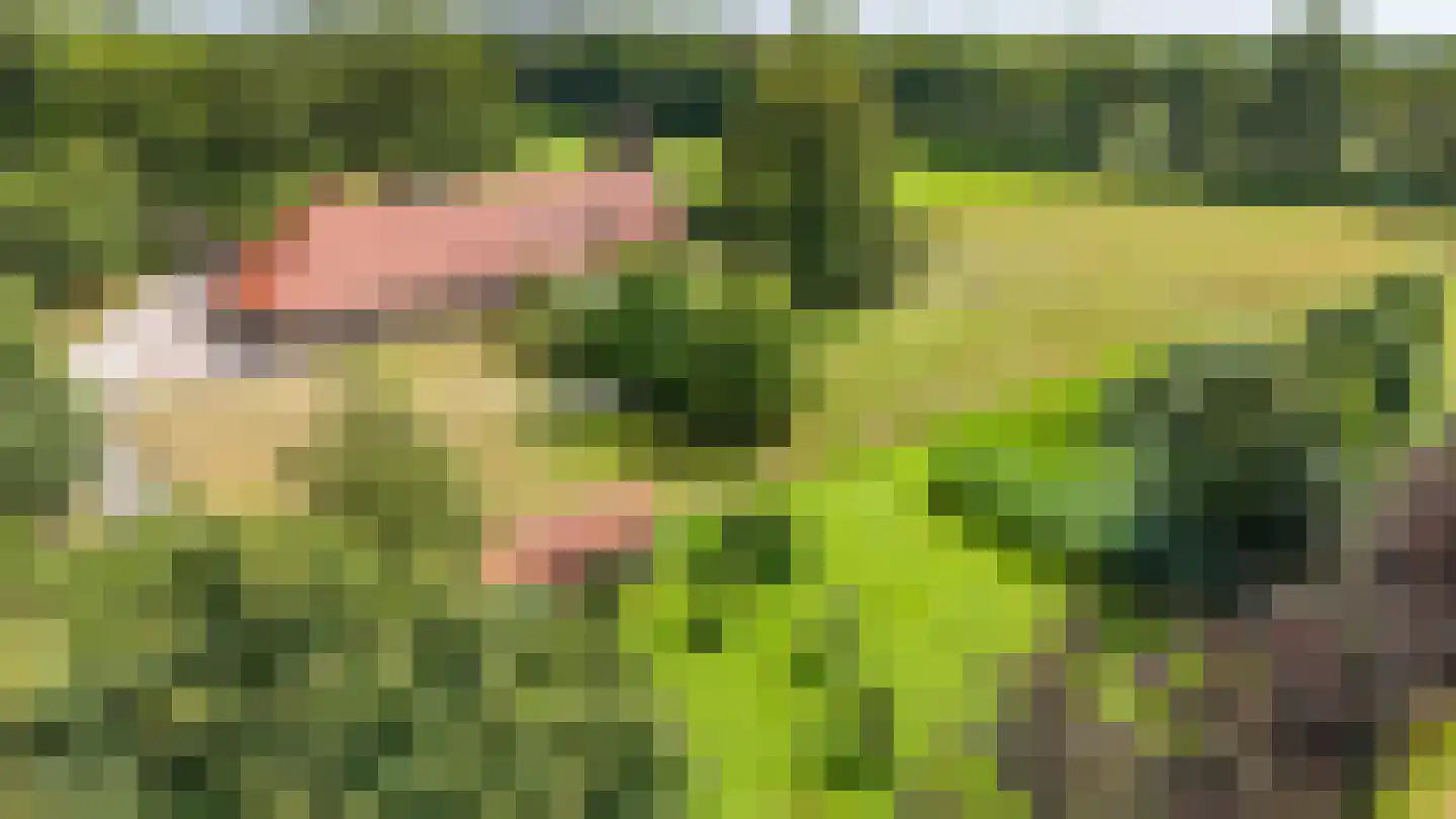 Bergveenweg 1 Veenhuizen thumbnail 7