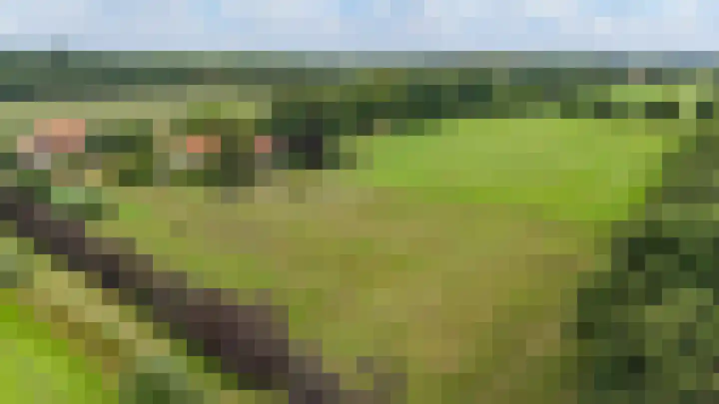 Bergveenweg 1 Veenhuizen thumbnail 70