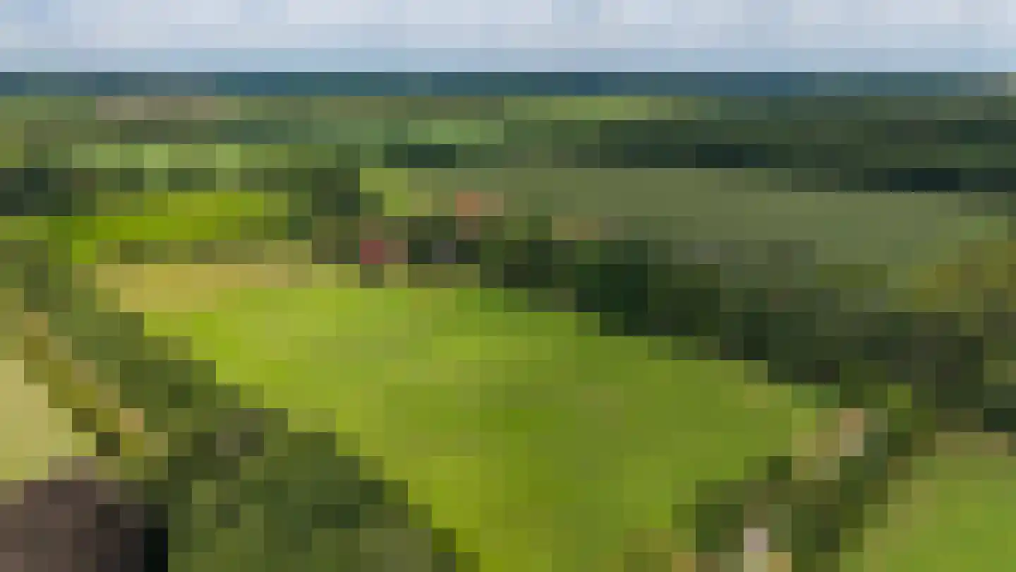 Bergveenweg 1 Veenhuizen thumbnail 71