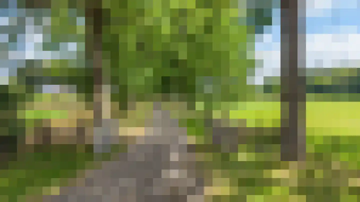 Bergveenweg 1 Veenhuizen thumbnail 75