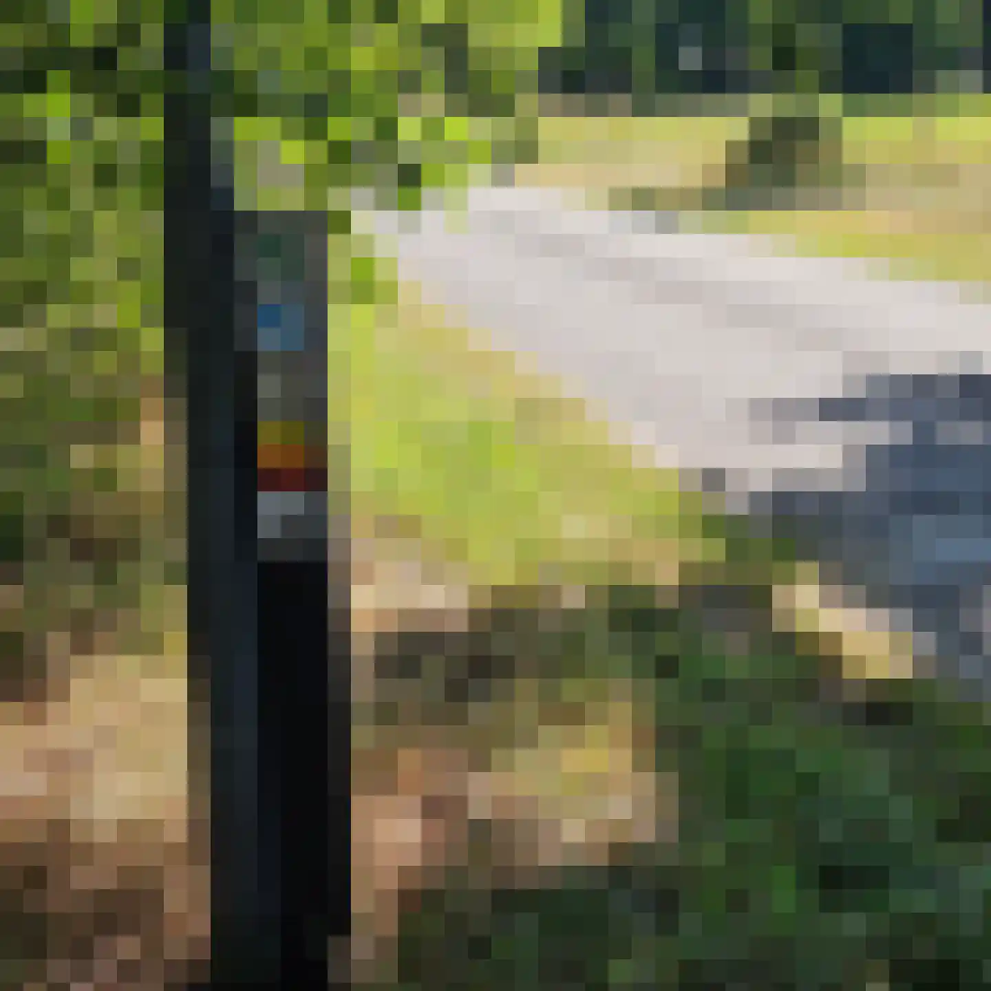 Bergveenweg 1 Veenhuizen thumbnail 78