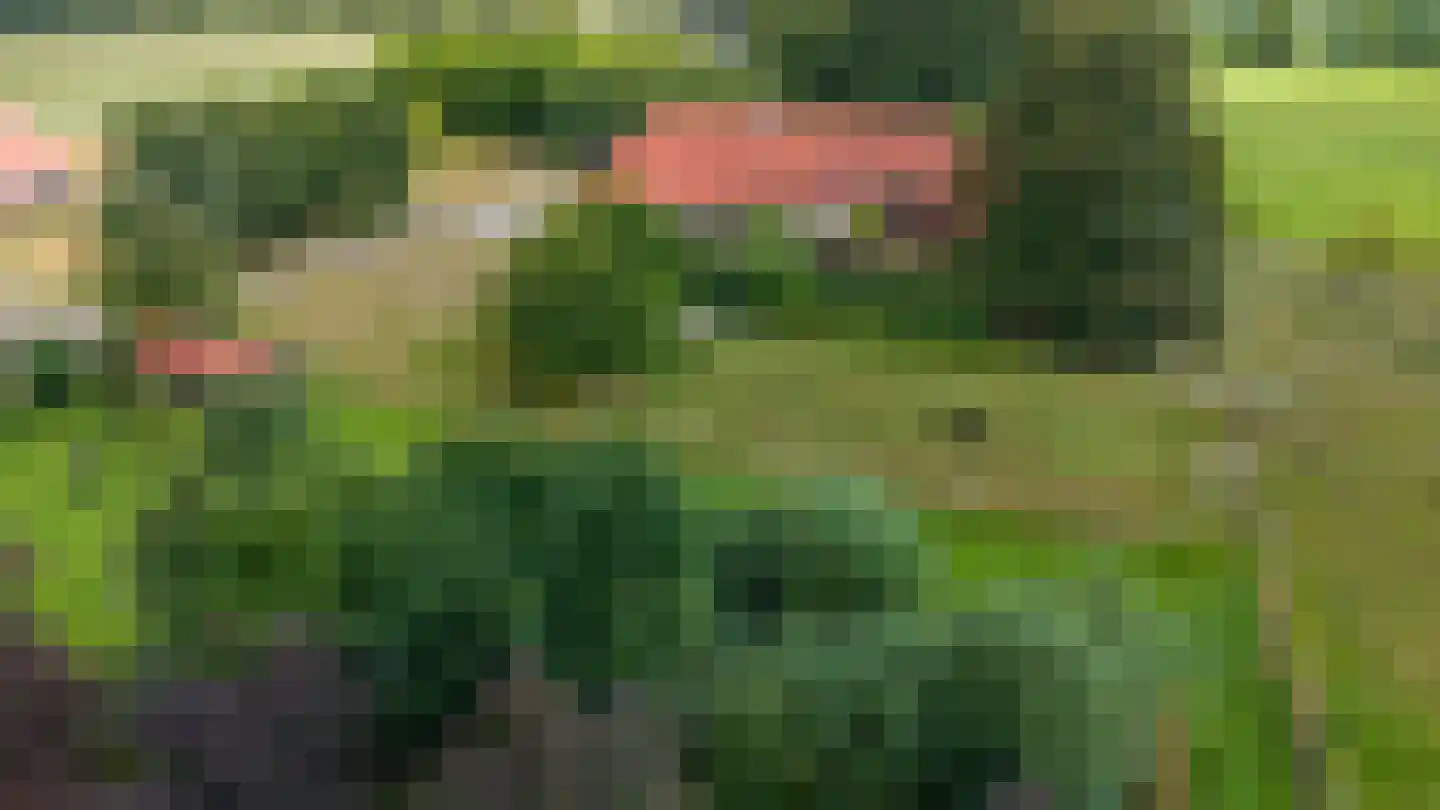Bergveenweg 1 Veenhuizen thumbnail 8