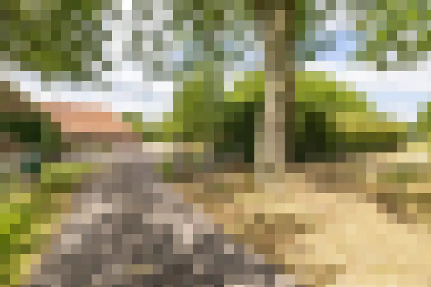 Bergveenweg 1 Veenhuizen thumbnail 9