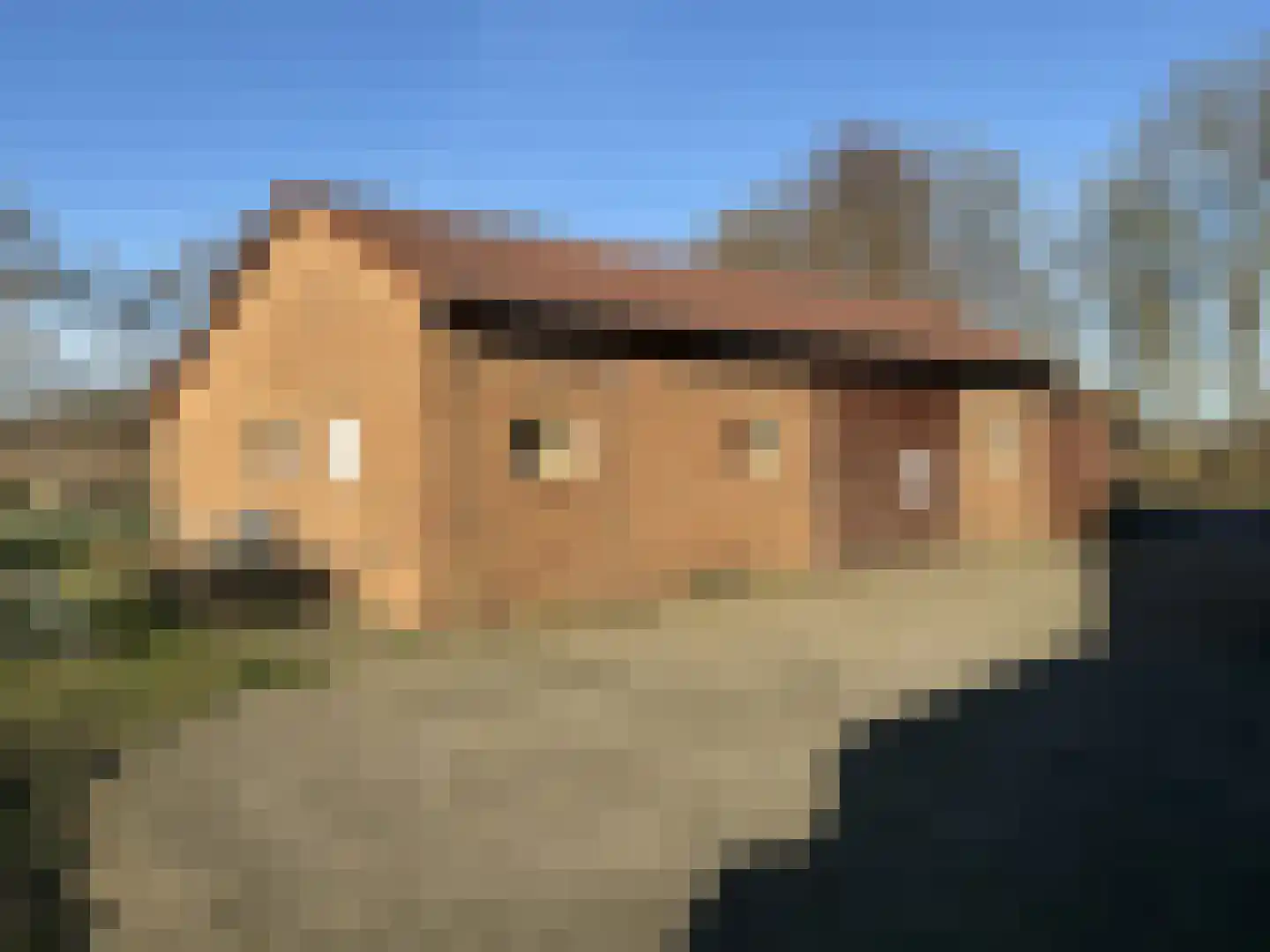 Bergvennenweg 183 Lattrop-Breklenkamp thumbnail 6