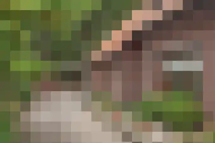 Bergvennenweg 3 Lattrop-Breklenkamp thumbnail 14