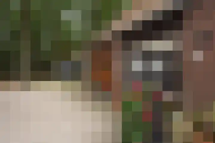 Bergvennenweg 3 Lattrop-Breklenkamp thumbnail 15