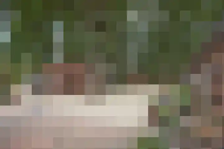 Bergvennenweg 3 Lattrop-Breklenkamp thumbnail 16