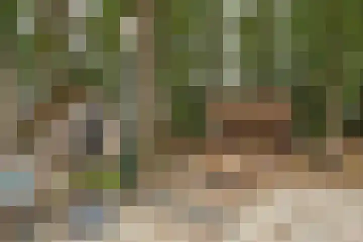 Bergvennenweg 3 Lattrop-Breklenkamp thumbnail 17