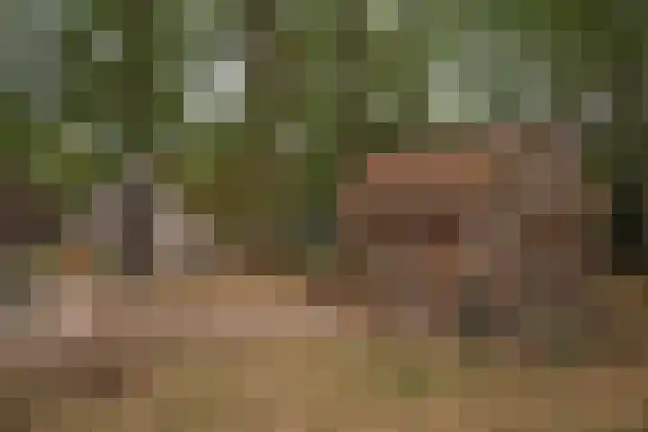 Bergvennenweg 3 Lattrop-Breklenkamp thumbnail 18