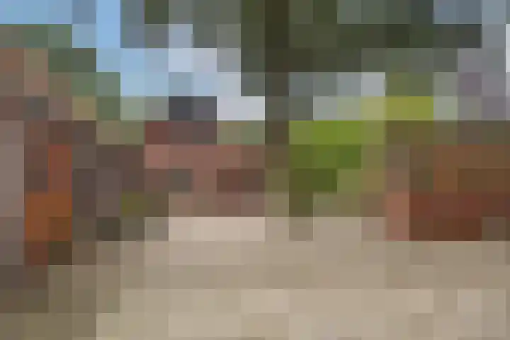 Bergvennenweg 3 Lattrop-Breklenkamp thumbnail 22