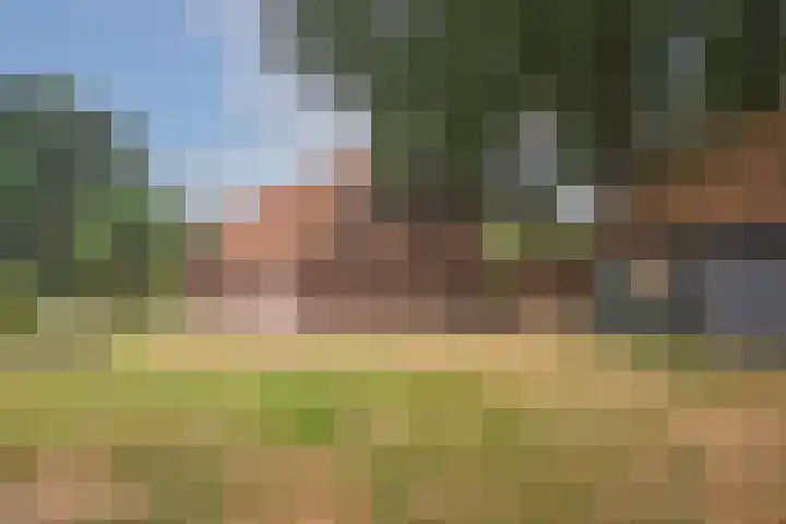 Bergvennenweg 3 Lattrop-Breklenkamp thumbnail 23