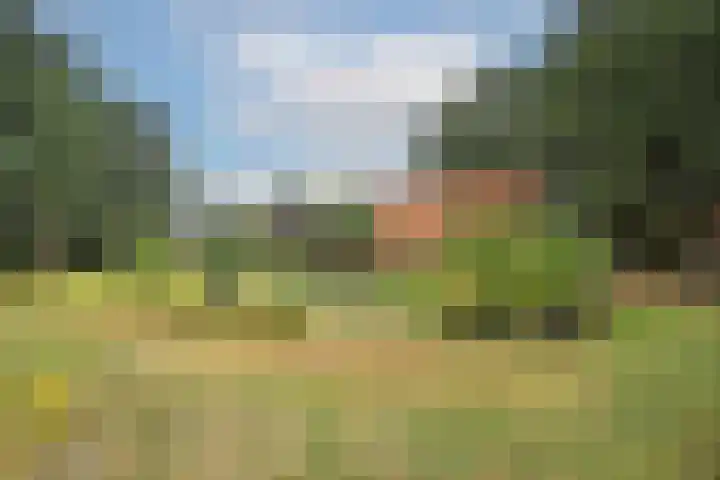 Bergvennenweg 3 Lattrop-Breklenkamp thumbnail 25