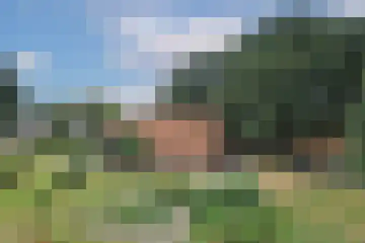 Bergvennenweg 3 Lattrop-Breklenkamp thumbnail 26