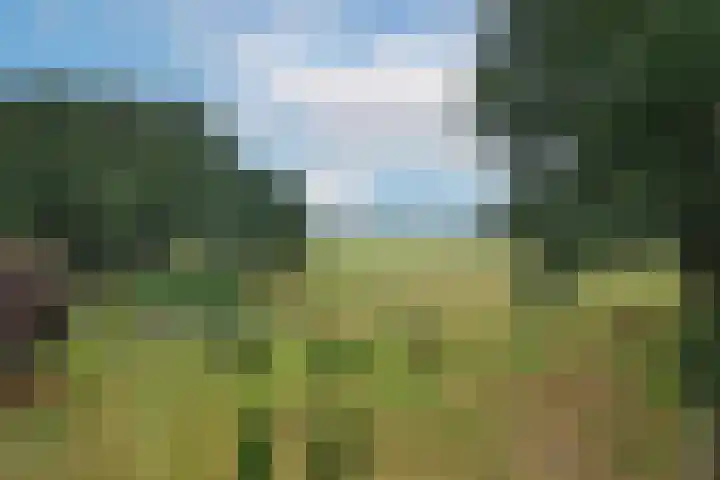 Bergvennenweg 3 Lattrop-Breklenkamp thumbnail 27