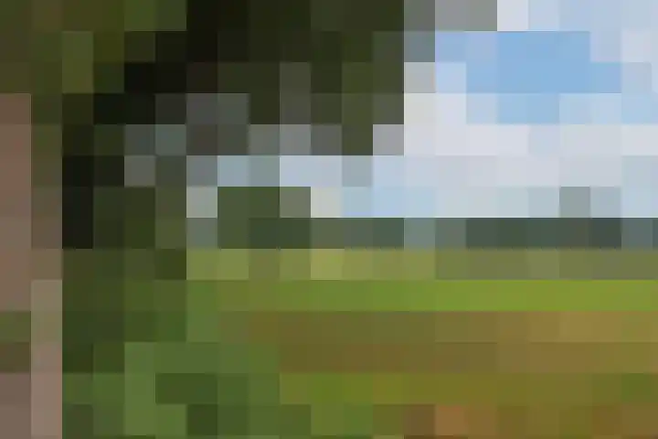 Bergvennenweg 3 Lattrop-Breklenkamp thumbnail 28