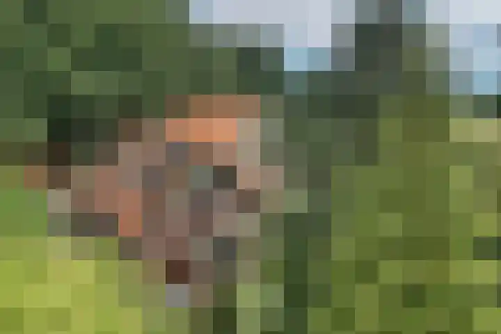 Bergvennenweg 3 Lattrop-Breklenkamp thumbnail 29