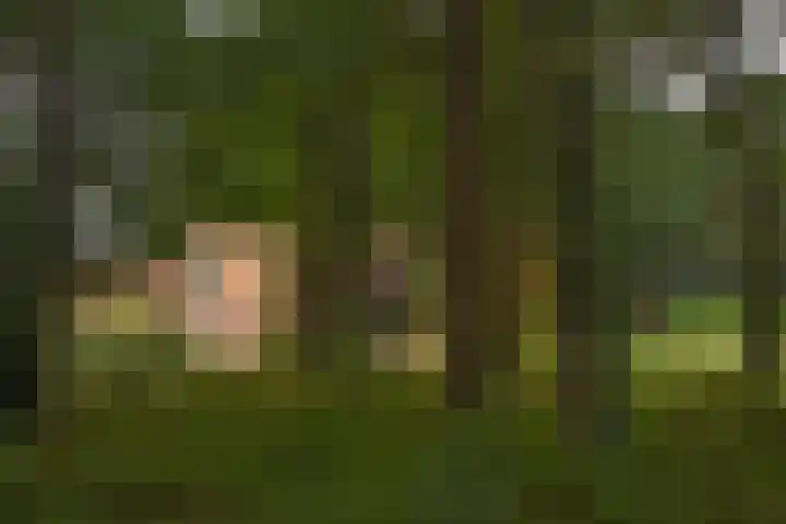 Bergvennenweg 3 Lattrop-Breklenkamp thumbnail 30