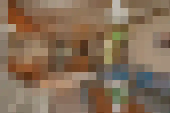 Bergvennenweg 3 Lattrop-Breklenkamp thumbnail 6