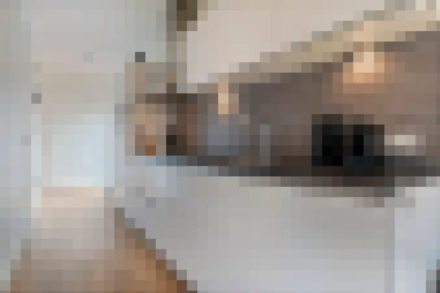 Bergvennenweg 35 K1 Lattrop-Breklenkamp thumbnail 10
