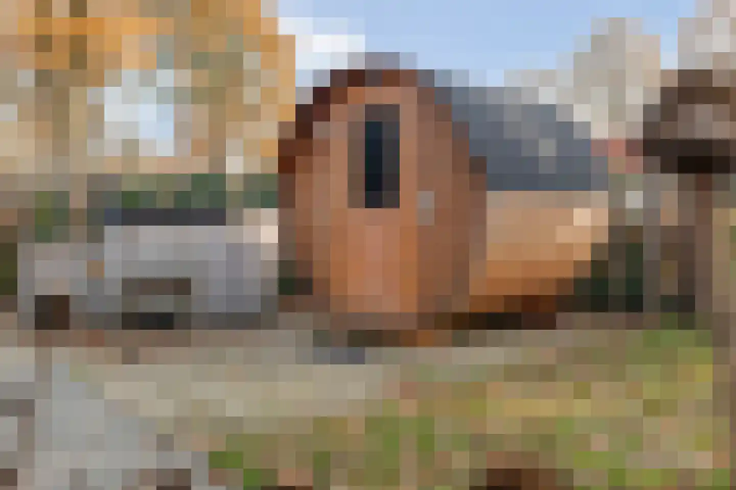 Bergvennenweg 35 K1 Lattrop-Breklenkamp thumbnail 4
