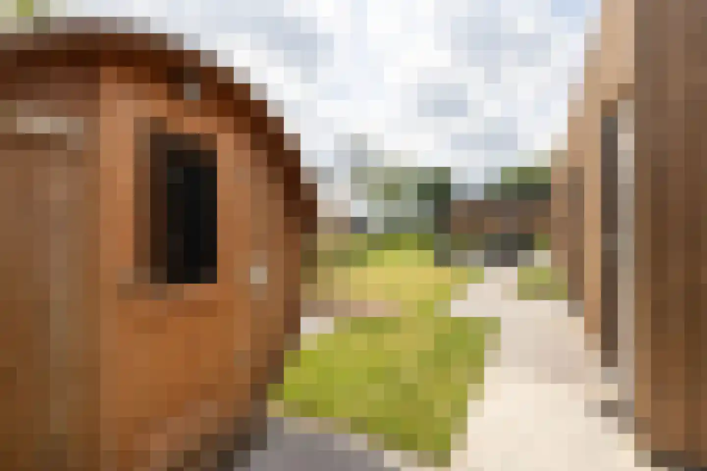 Bergvennenweg 35 K5 Lattrop-Breklenkamp thumbnail 22
