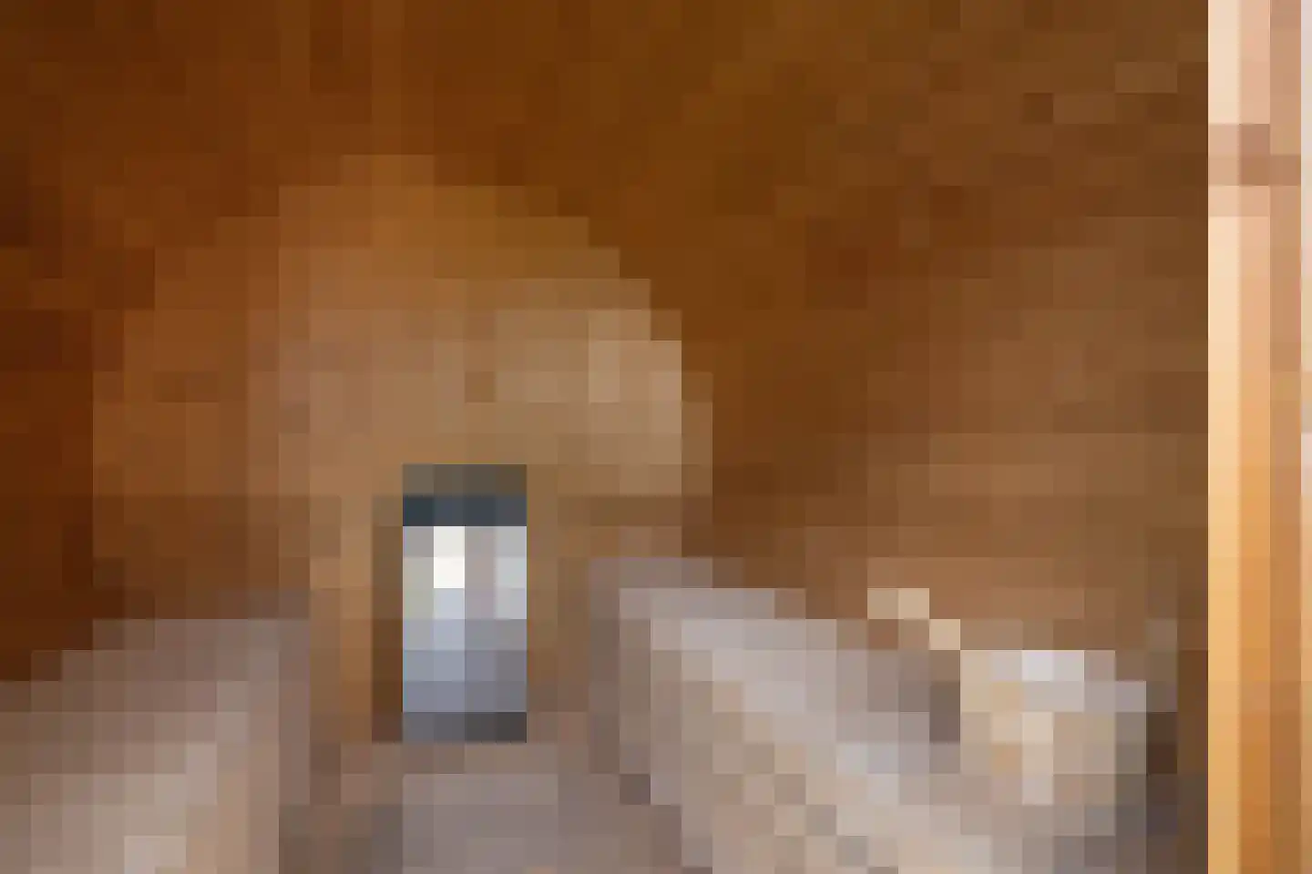 Bergvennenweg 35 K5 Lattrop-Breklenkamp thumbnail 23