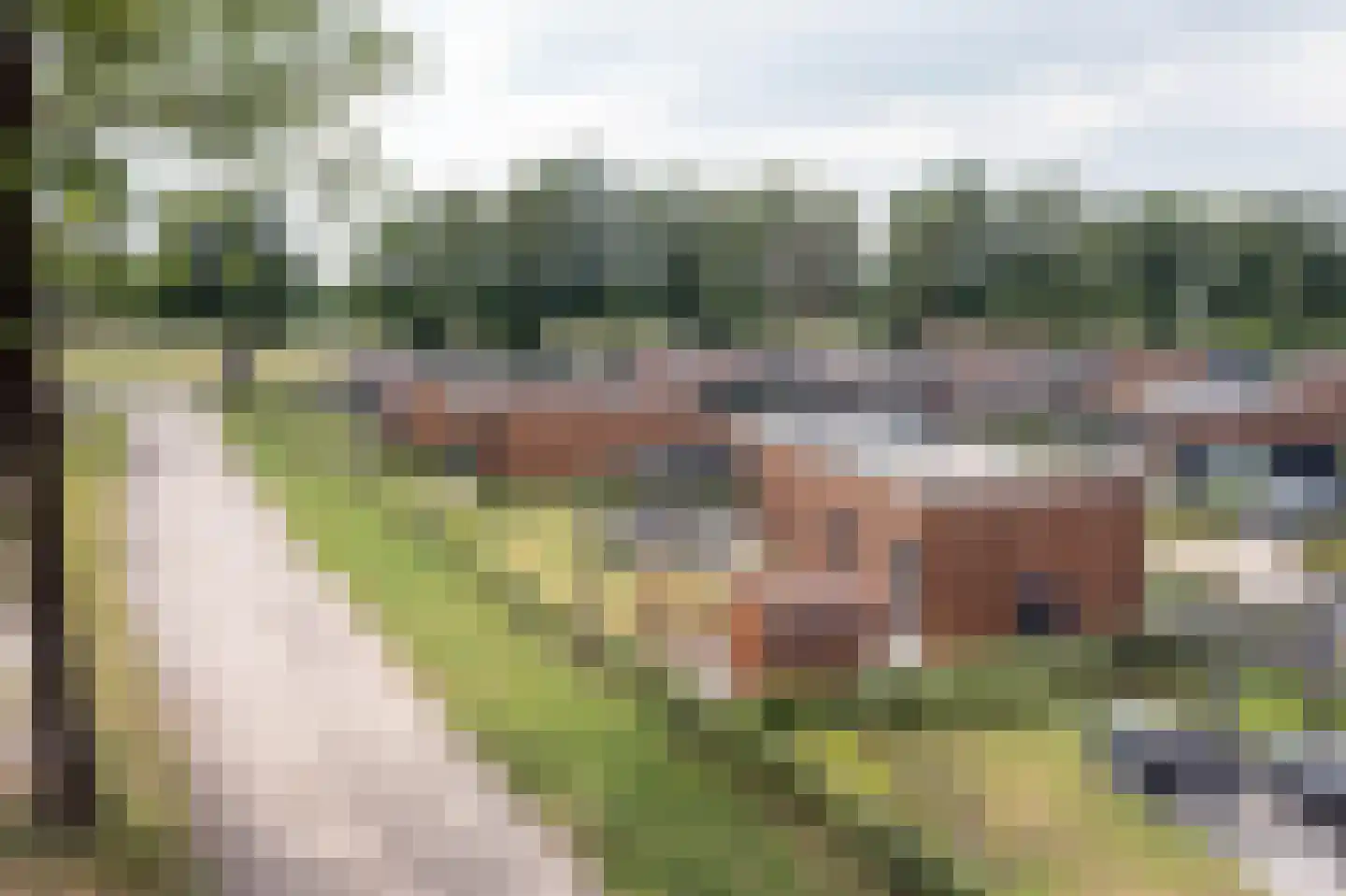 Bergvennenweg 35 K5 Lattrop-Breklenkamp thumbnail 4