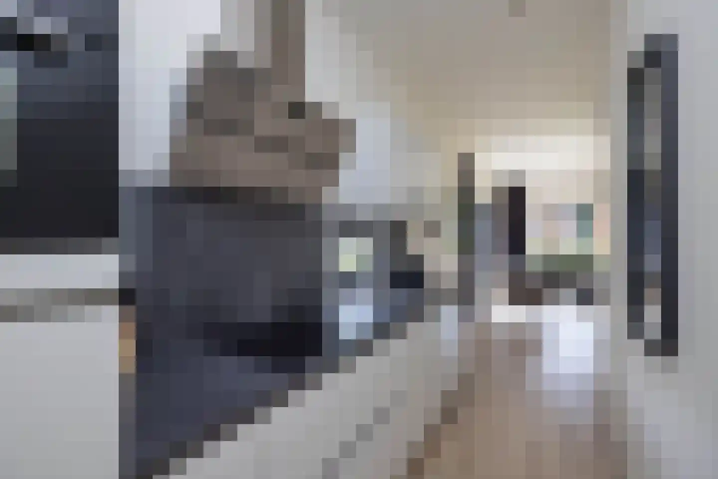 Bergvennenweg 35 K5 Lattrop-Breklenkamp thumbnail 8