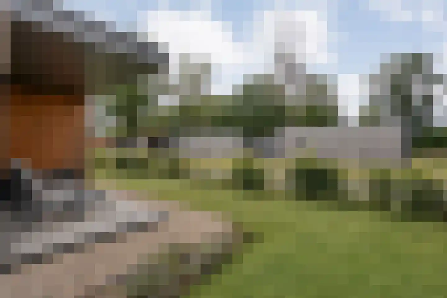 Bergvennenweg 35 K7 Lattrop-Breklenkamp thumbnail 11