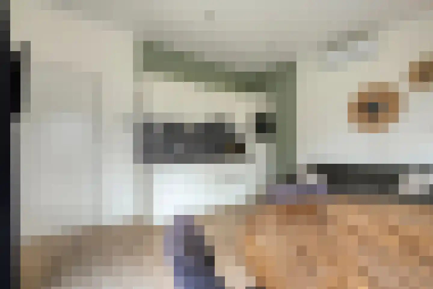 Bergvennenweg 35 K7 Lattrop-Breklenkamp thumbnail 6