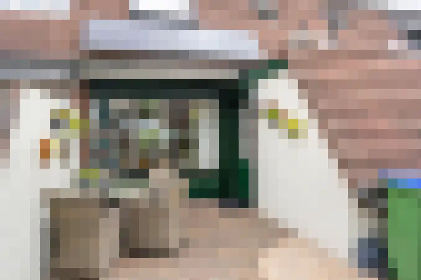 Bergvink 7 Veenendaal thumbnail 23