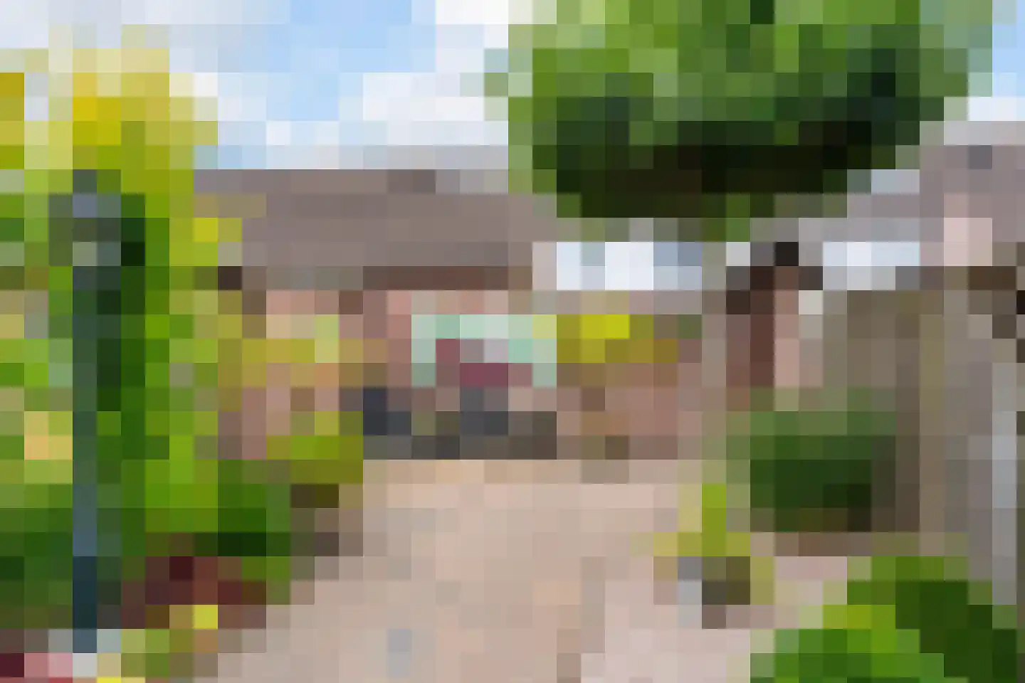 Bergvink 7 Veenendaal thumbnail 24