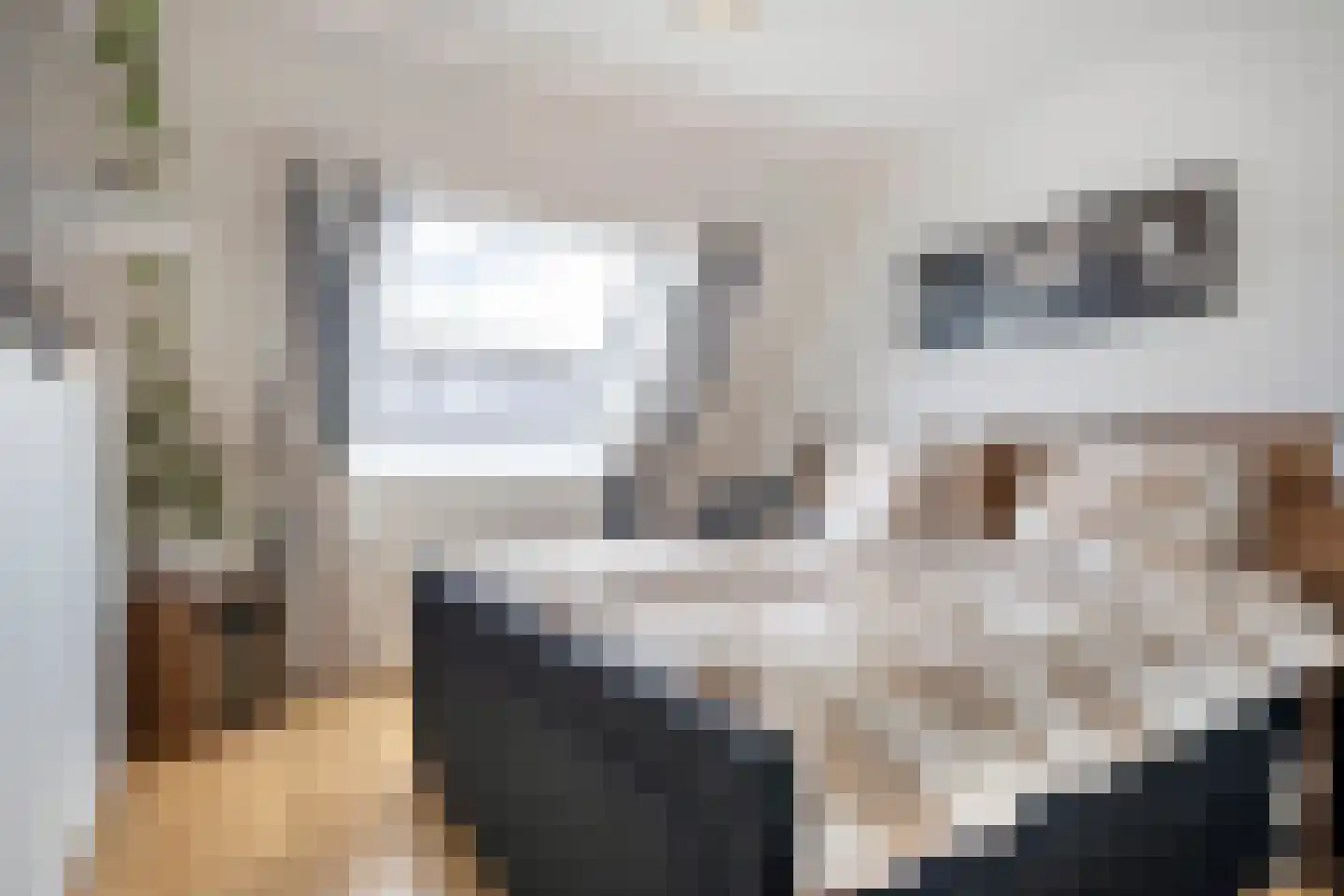 Bergvink 7 Veenendaal thumbnail 4