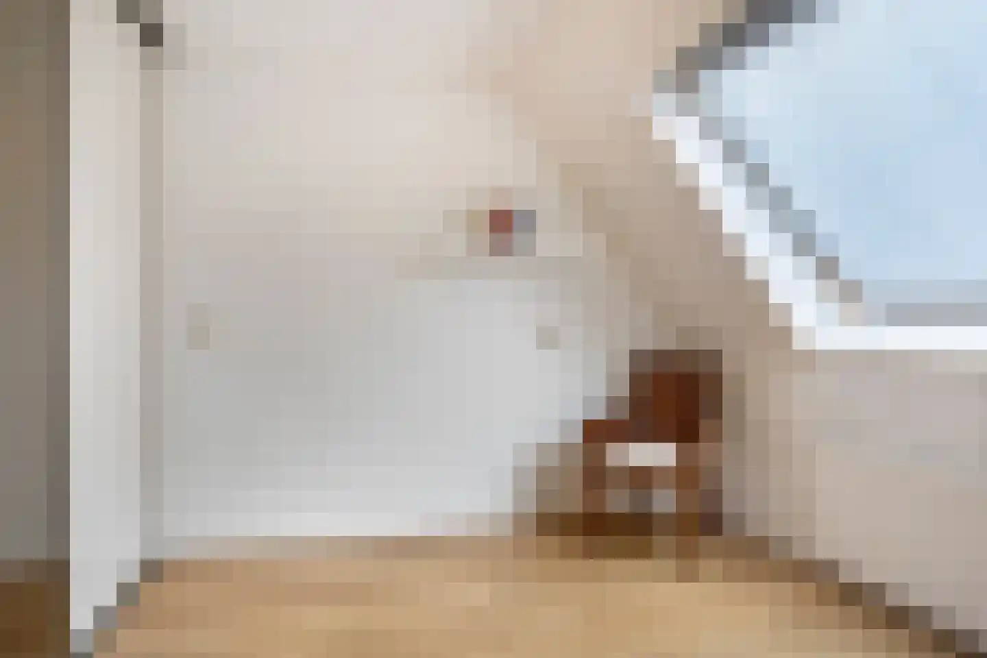 Bergvink 7 Veenendaal thumbnail 6