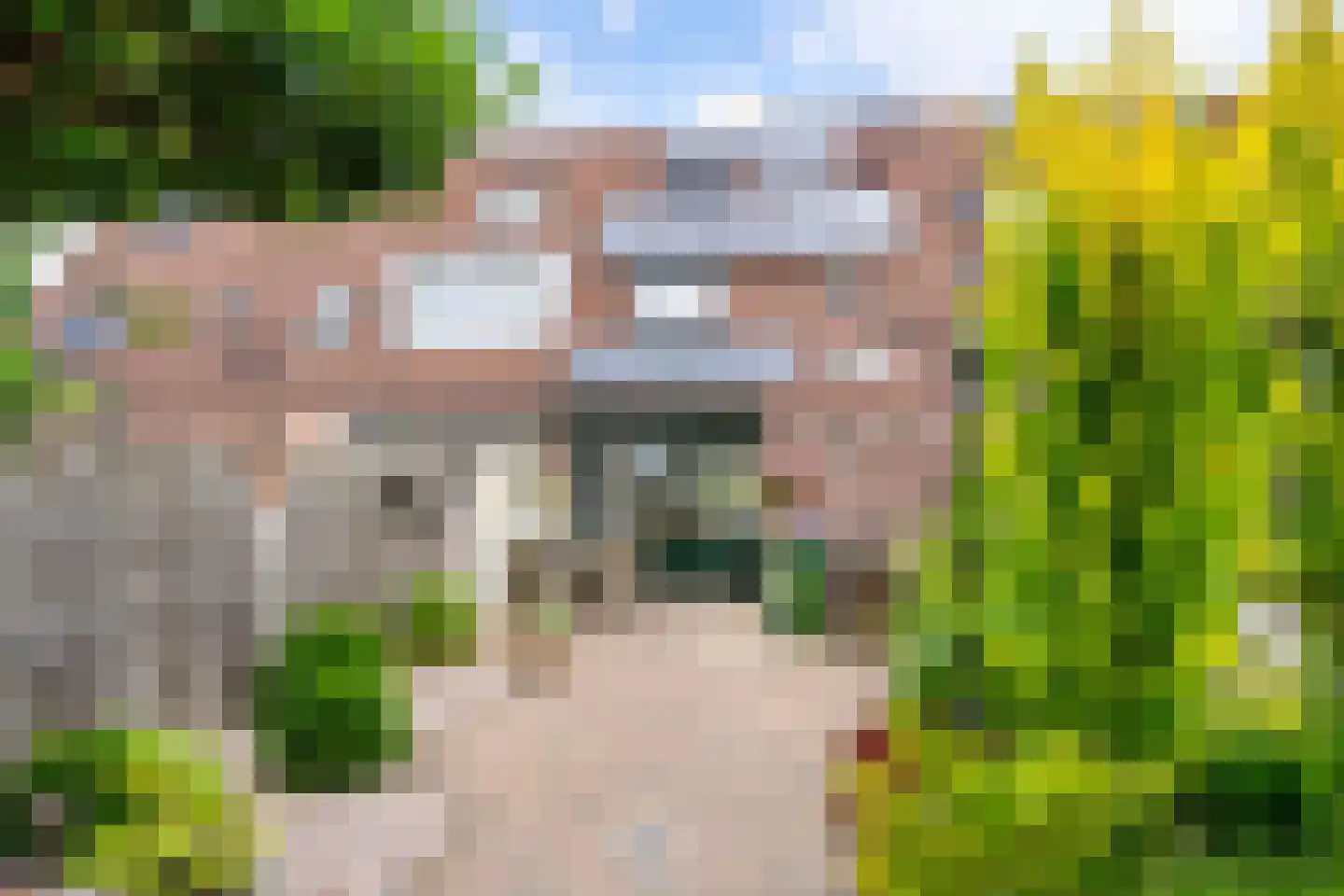 Bergvink 7 Veenendaal thumbnail 7