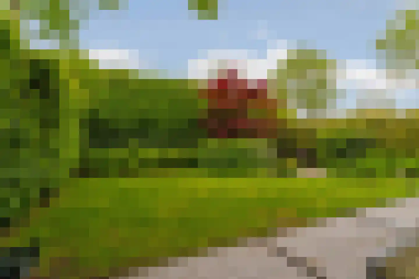 Bergvliet 7 Abcoude thumbnail 46
