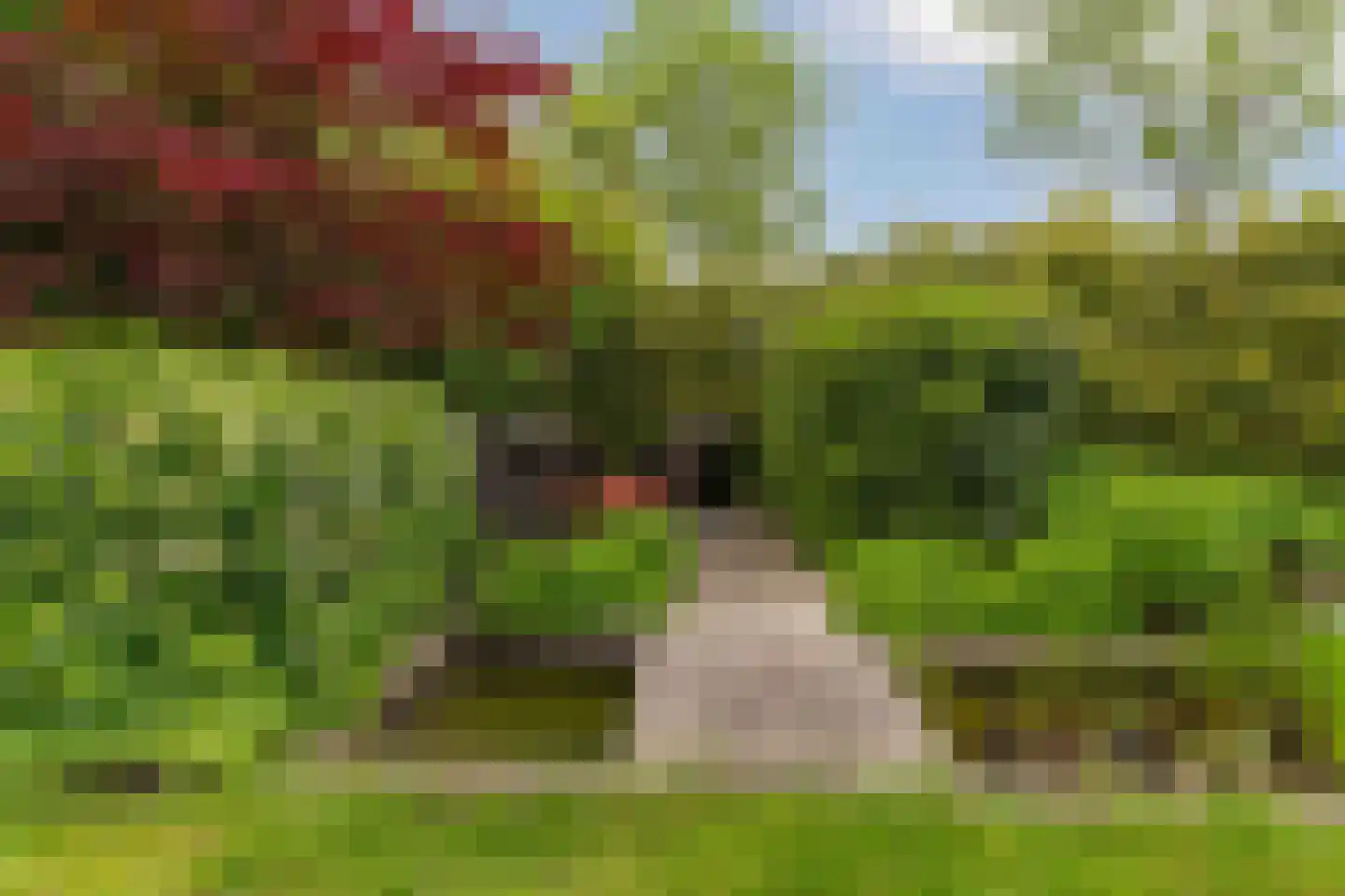 Bergvliet 7 Abcoude thumbnail 47