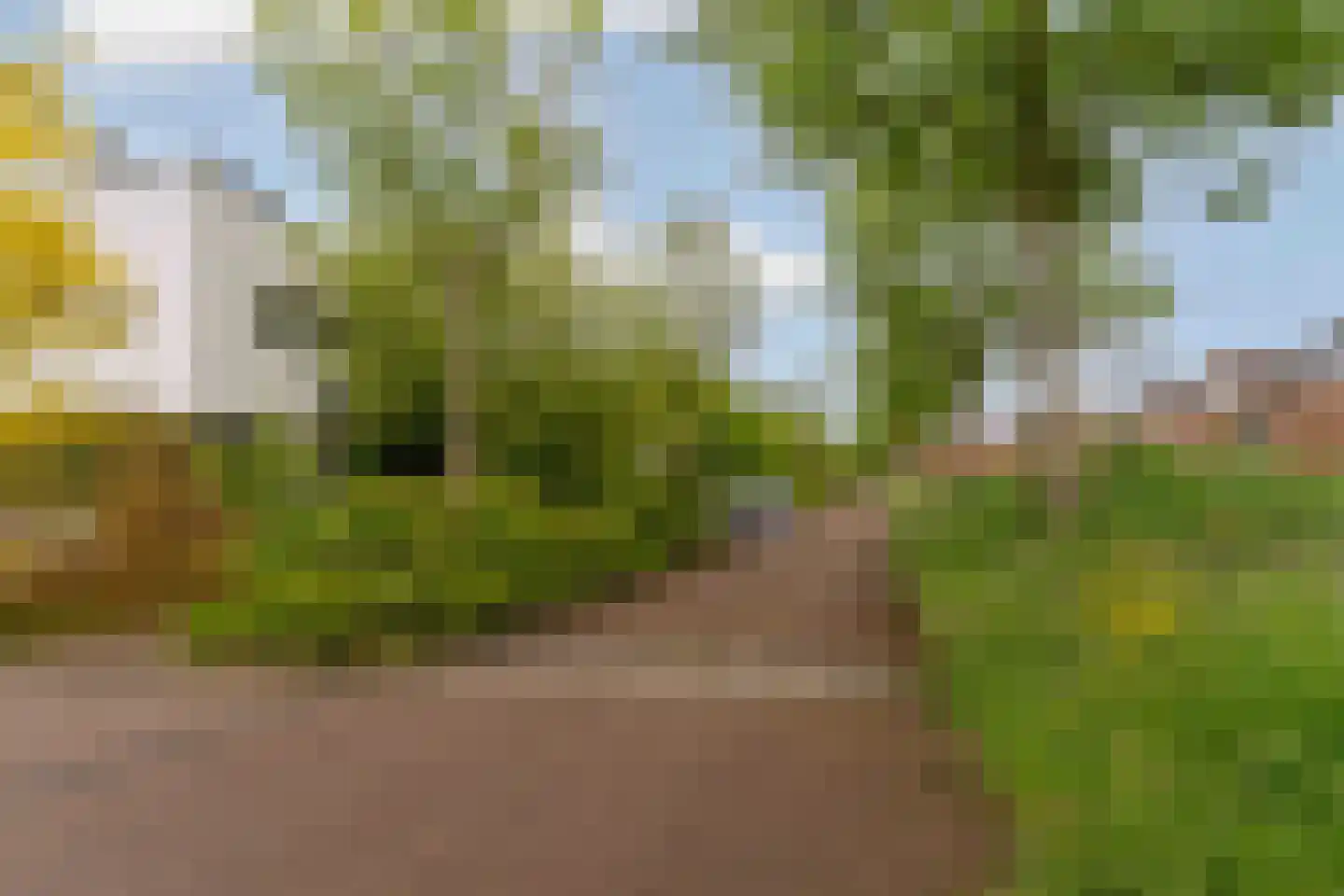 Bergvliet 7 Abcoude thumbnail 51